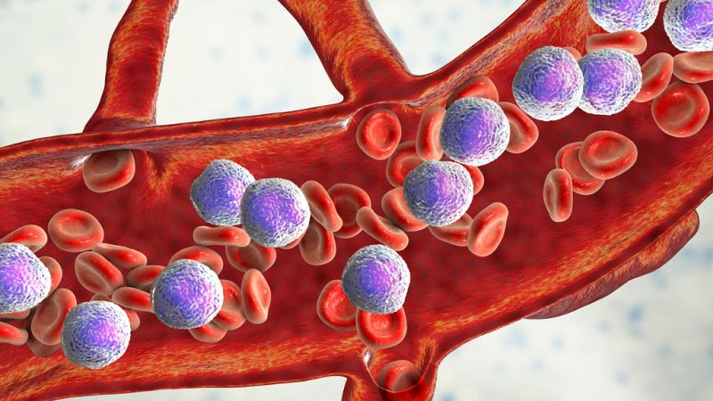 Una casa portuguesa - Portugal y España colaboran contra la leucemia - 26/09/19 - Escuchar ahora