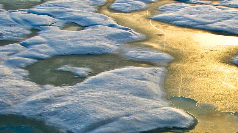  Todo noticias tarde - Jornada mundial contra el cambio climatico - Escuchar ahora - 27/09/2019