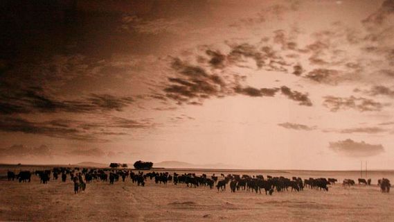 Las mañanas de RNE con Íñigo Alfonso