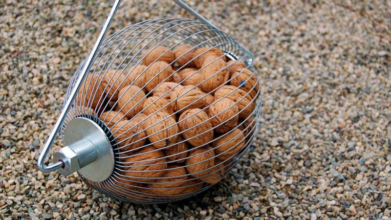 Degustar España - Recolección de nueces - 12/10/19 - Escuchar ahora