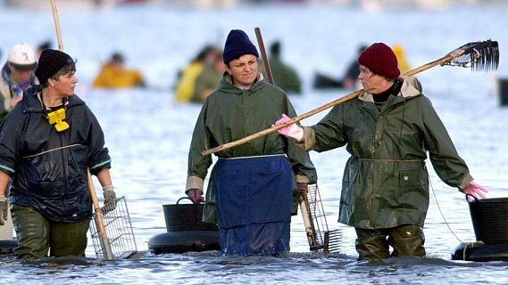 Españoles en la mar