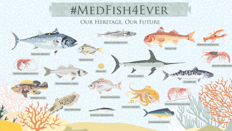 Proyecto Medfish de pesca sostenible