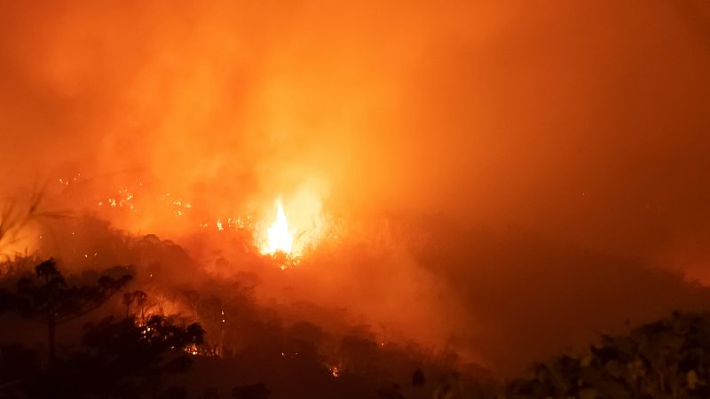  Todo noticias tarde - Incendios Indonesia - 21/10/2019 - Escuchar ahora 