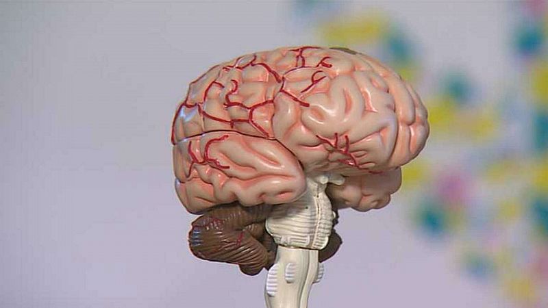 Medio millón de españoles con daño cerebral adquirido - Escuchar ahora