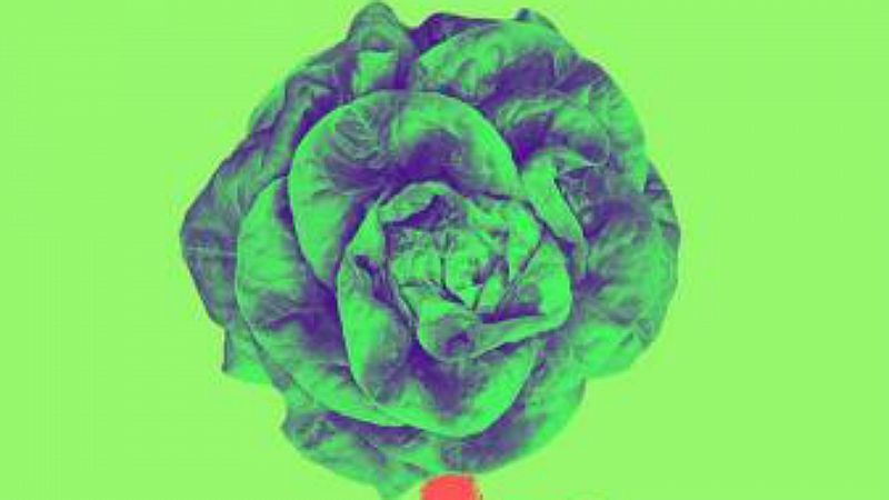 MediAcción - Primera Jornada Ecofeminista de Toledo - 31/10/19 - Escuchar ahora