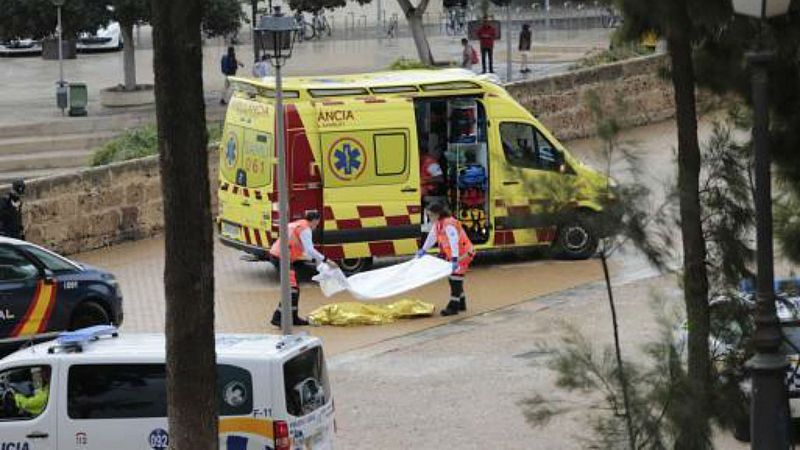 14 horas fin de semana - Una mujer muerta en Baleares por la caída de una palmera y su hija en estado crítico - Escuchar ahora