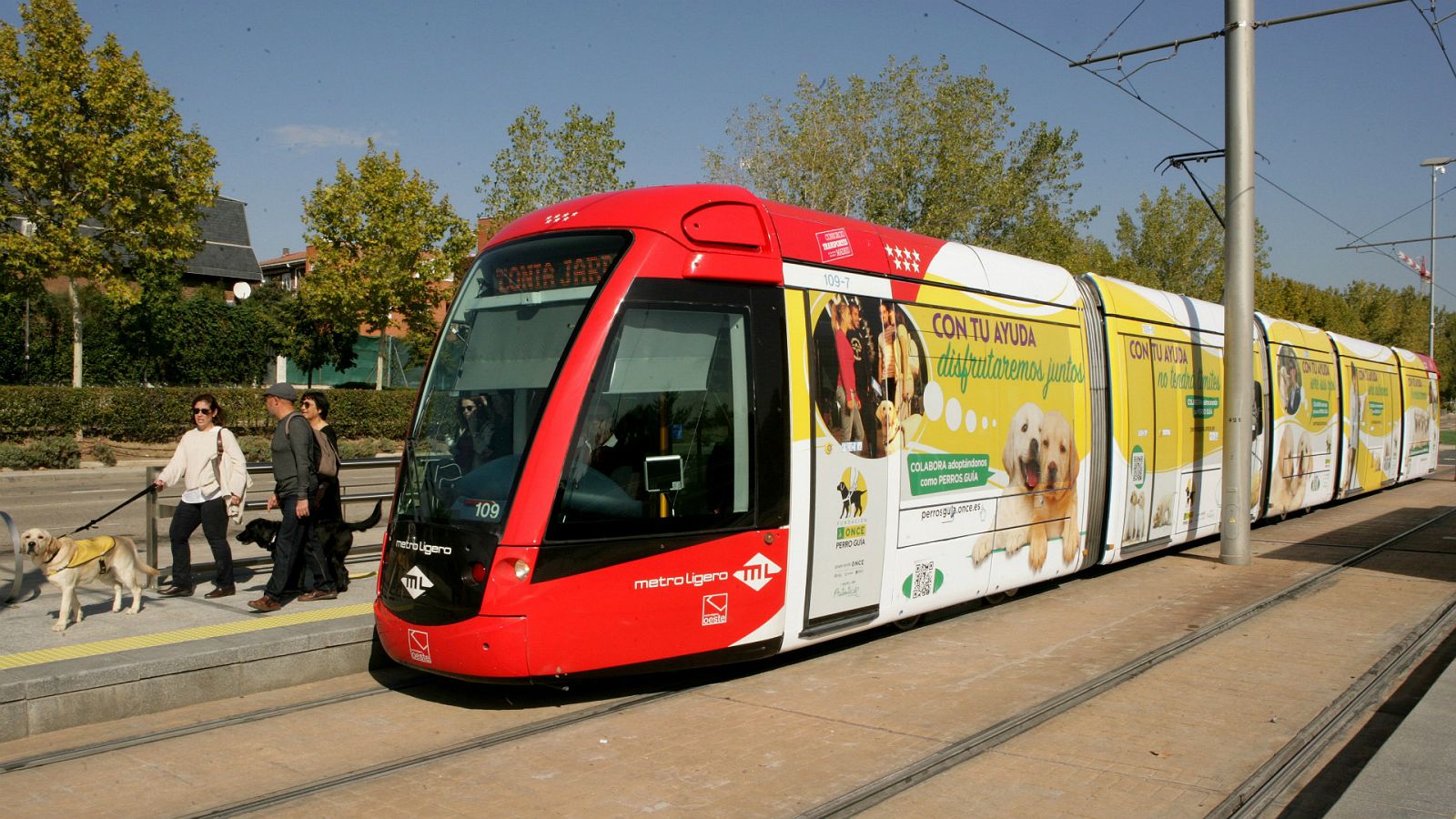 Para que veas - Los perros guía viajan con el metro de Madrid - 11/11/19 - Escuchar ahora
