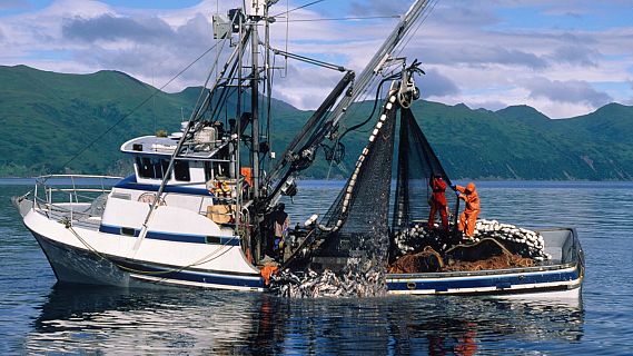 Españoles en la mar en Radio 5