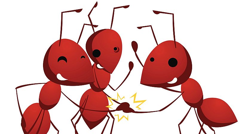 Contando cuentos en Radio 5 - El hormiguero atacado - 12/11/19 - Escuchar ahora