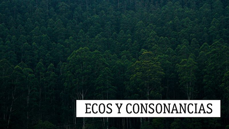 Ecos vocales - Guitarreo - 12/11/19 - escuchar ahora
