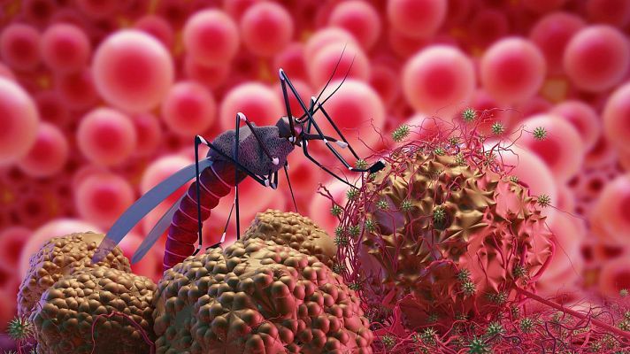 Longitud de onda - La malaria de Rachmaninov - 15/11/19 - escuchar ahora