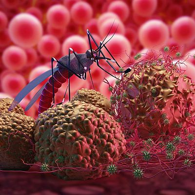 Longitud de onda - La malaria de Rachmaninov - 15/11/19 - escuchar ahora