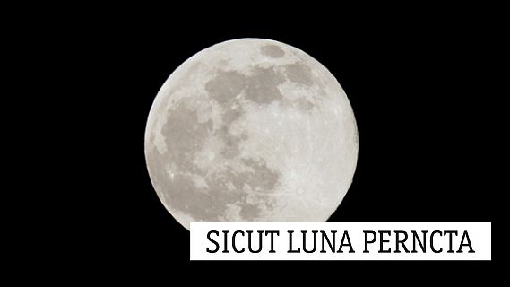 Sicut luna perfecta