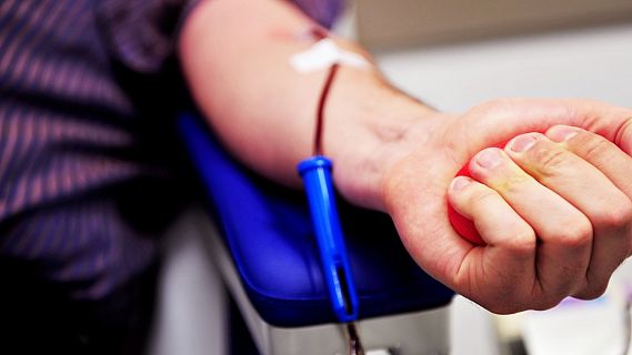 Todo Noticias - Tarde