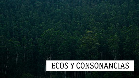 Ecos y consonancias