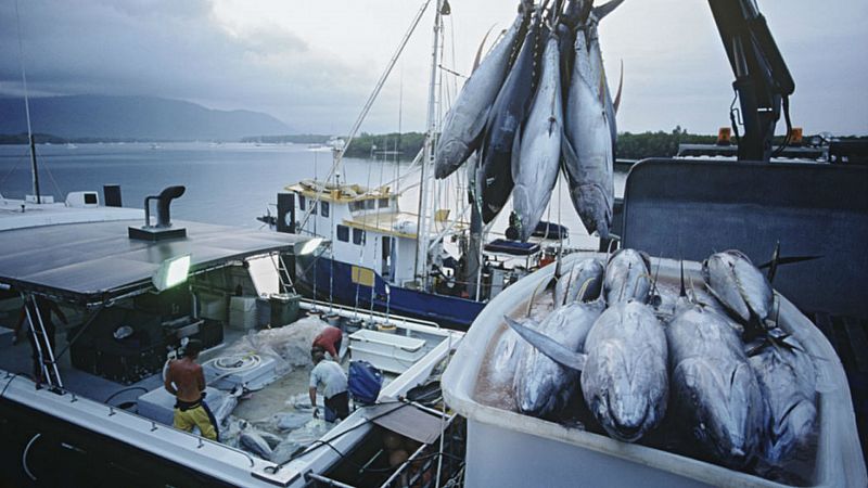 Agro 5 - Pesca sostenible (FAO-ICCAT-UE) para alimentar al mundo - 23/11/19 - Escuchar ahora
