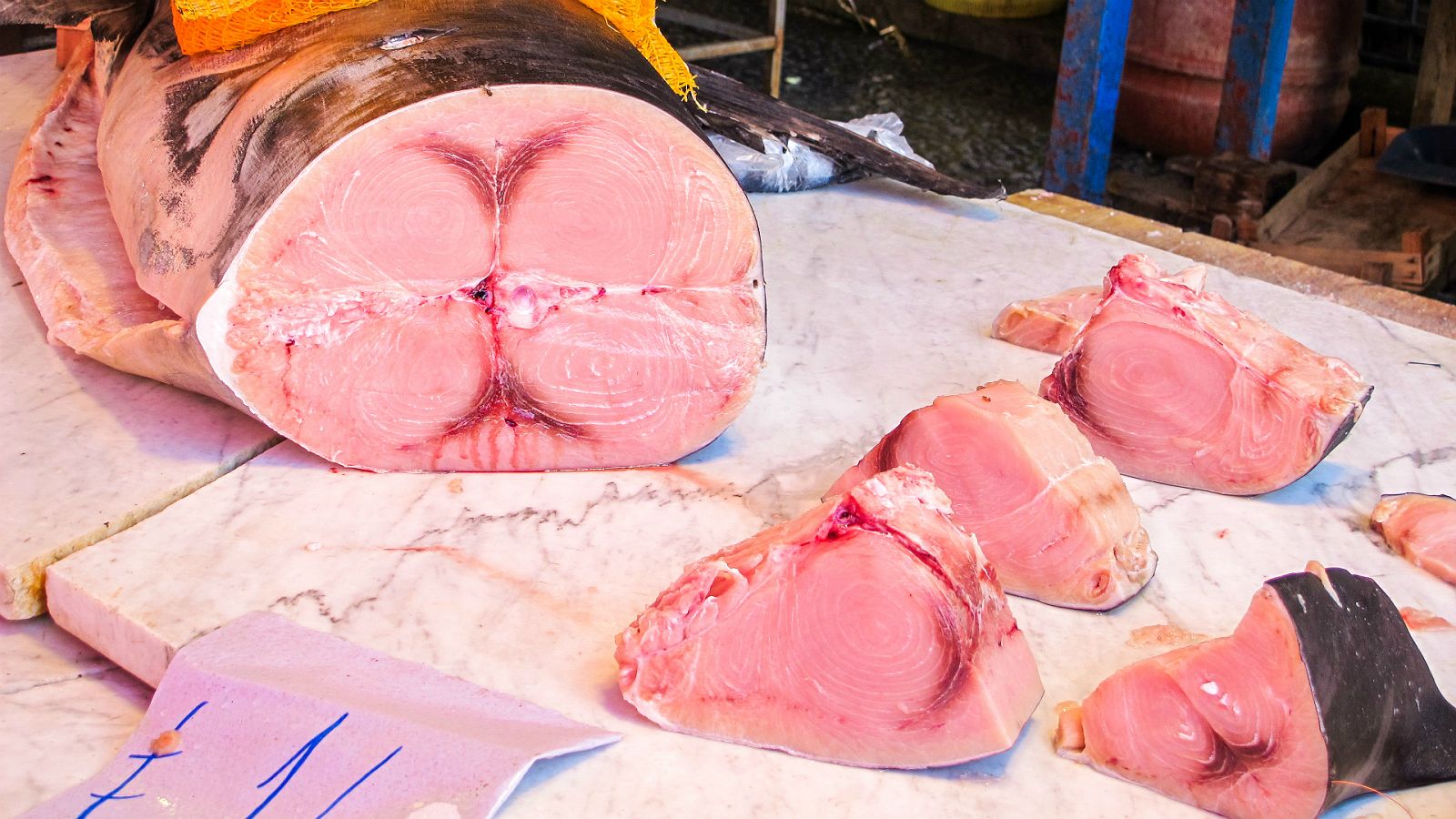 Españoles en la mar en Radio 5 - ¿Alerta infundada sobre el consumo de atún rojo y pez espada? - 22/11/19 - Escuchar ahora