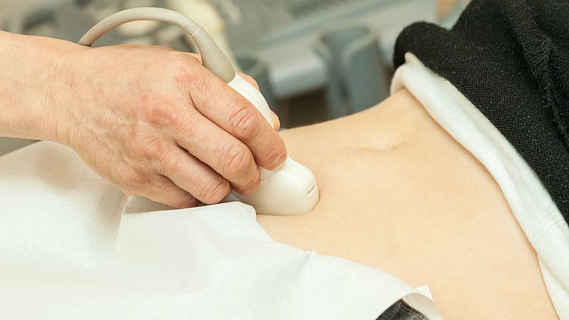  14 horas - Se mantiene la tendencia en la cifra de abortos - Escuchar ahora