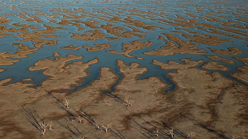 14 horas fin de semana - Muchas cumbre sobre el clima y pocos avances - Escuchar ahora