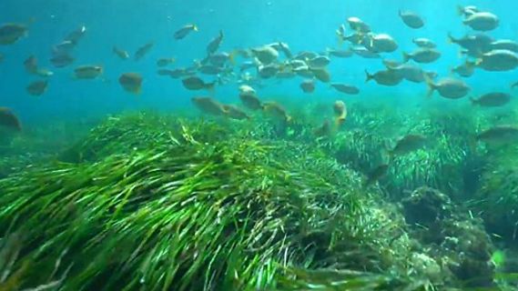 14 Horas fin de semana