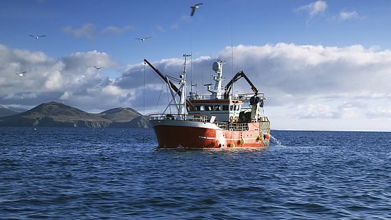 Españoles en la mar