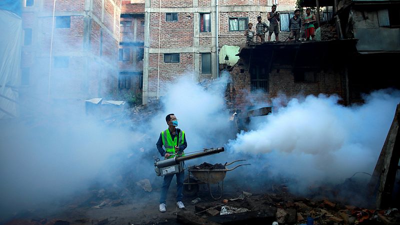  14 horas - Los médicos alertan de la propagación de enfermedades por el cambio climático - Escuchar ahora