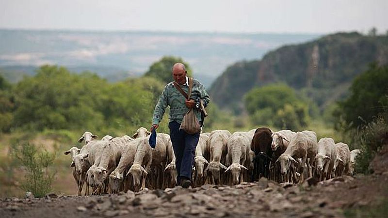 Agro 5 - "COP25 y la sostenibilidad agroalimentaria" - 7/12/19 - Escuchar ahora