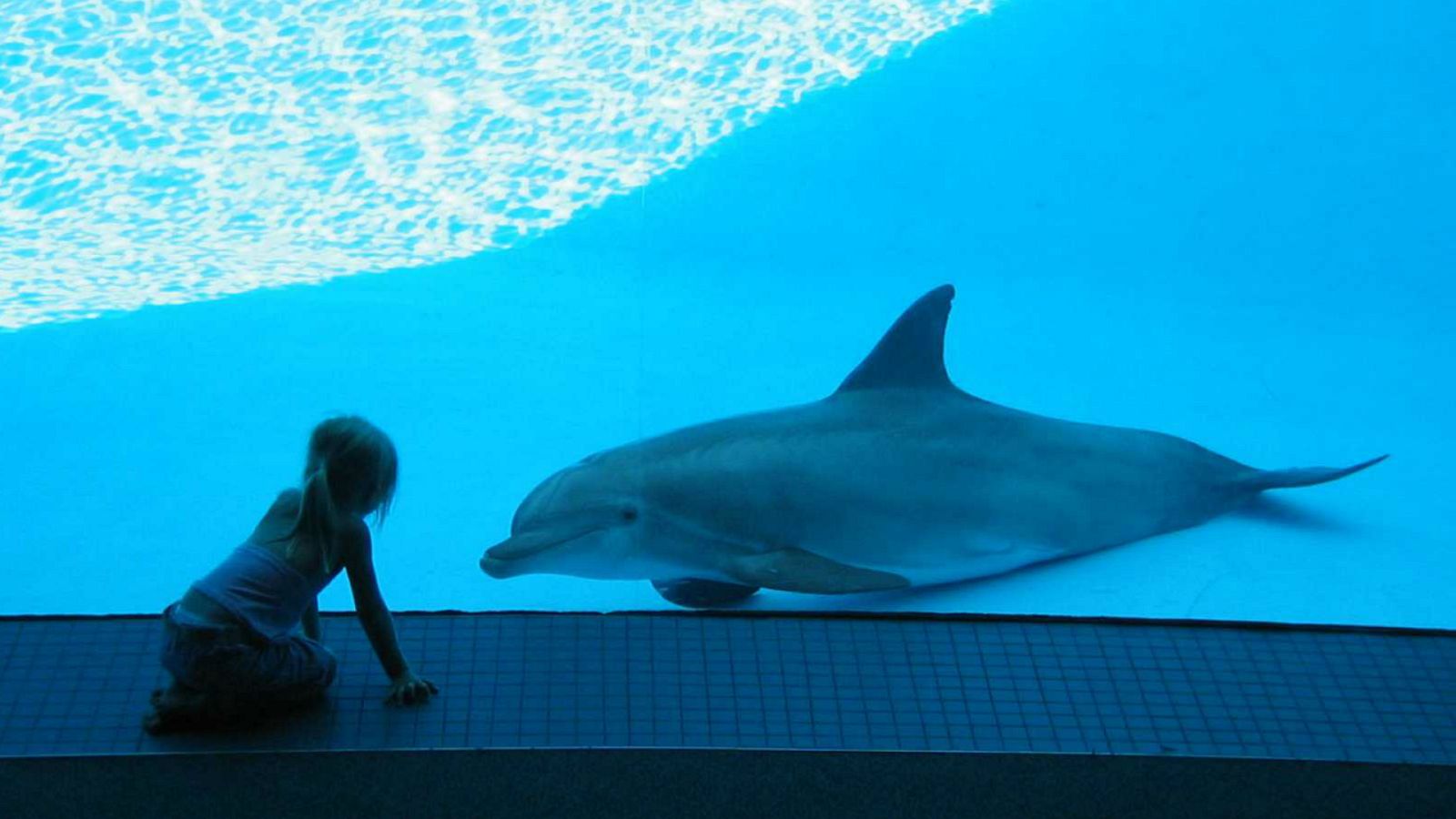  14 horas - Diez especies mejoran su estado en la lista de amenazadas  - Escuchar ahora