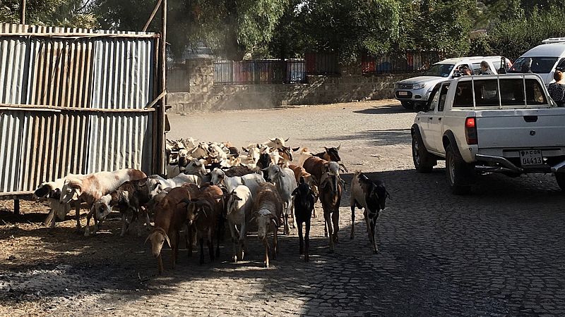 Global 5 - Etiopía (IV): el 80% de la población vive del entorno rural - 12/12/19 - Escuchar ahora