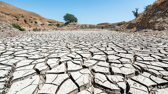 Solamente una vez- Microrelatos, cambio climático y Kamala - 13/12/19 ...