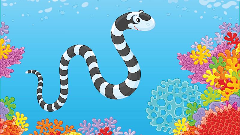 Contando cuentos en Radio 5 - Serpiente de mar - 17/12/19 - Escuchar ahora