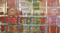 Marca España - Almería capital de la comida saludable