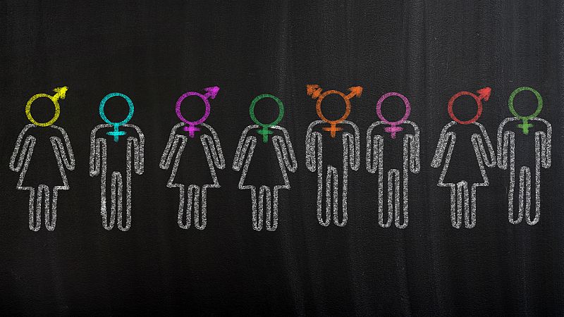 Para que veas - Discapacidad y diversidad de género - 17/12/19 - Escuchar ahora