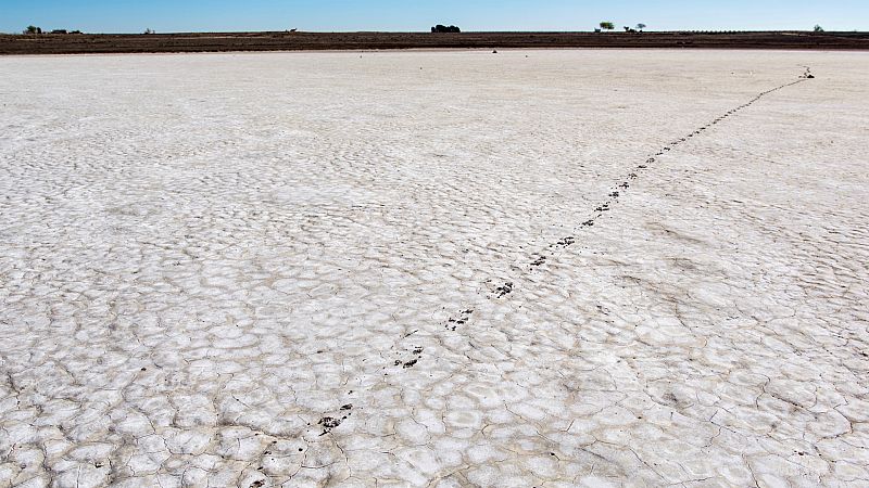14 horas - El invierno será cálido y seco - Escuchar ahora