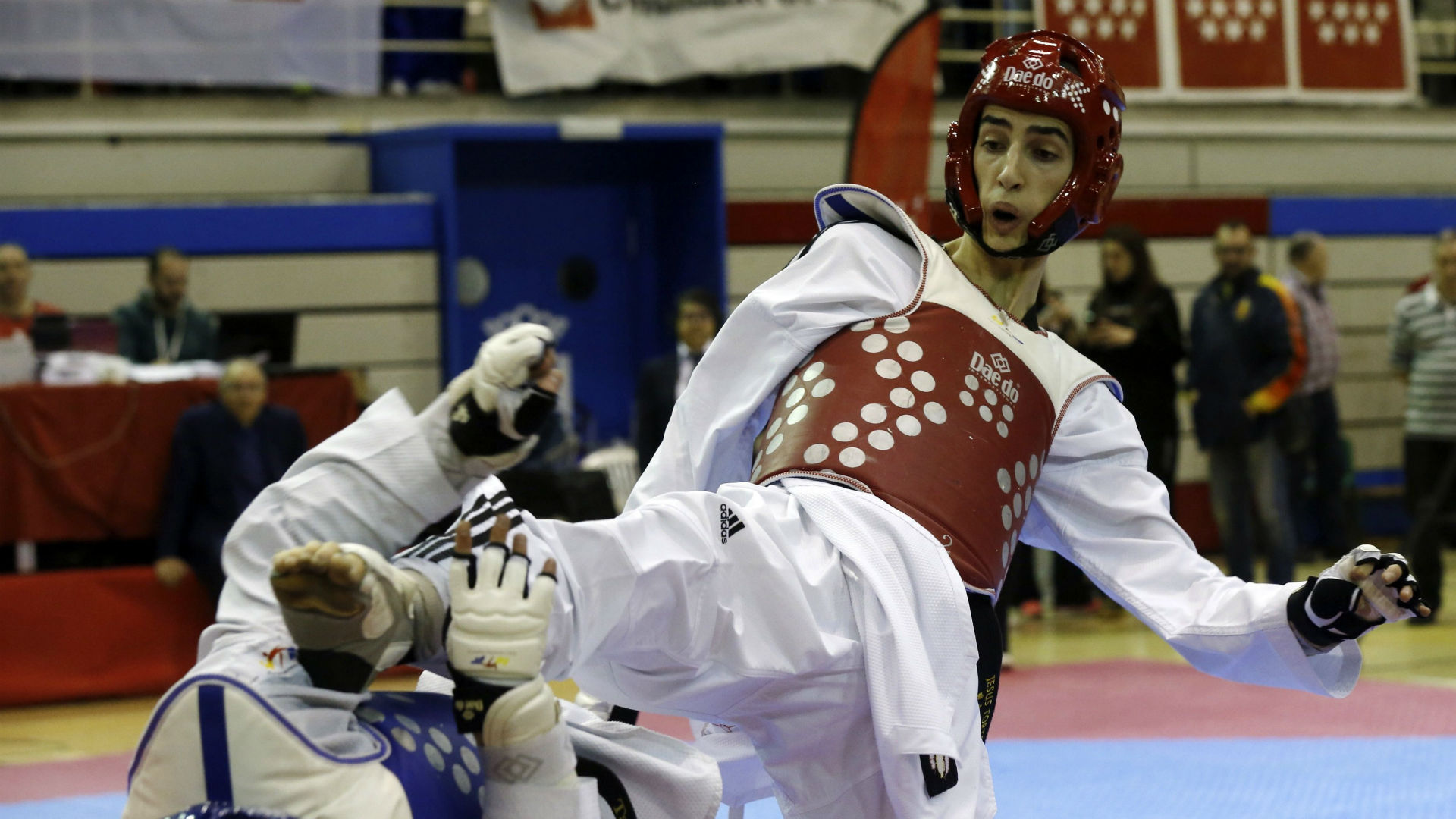 adidas taekwondo españa
