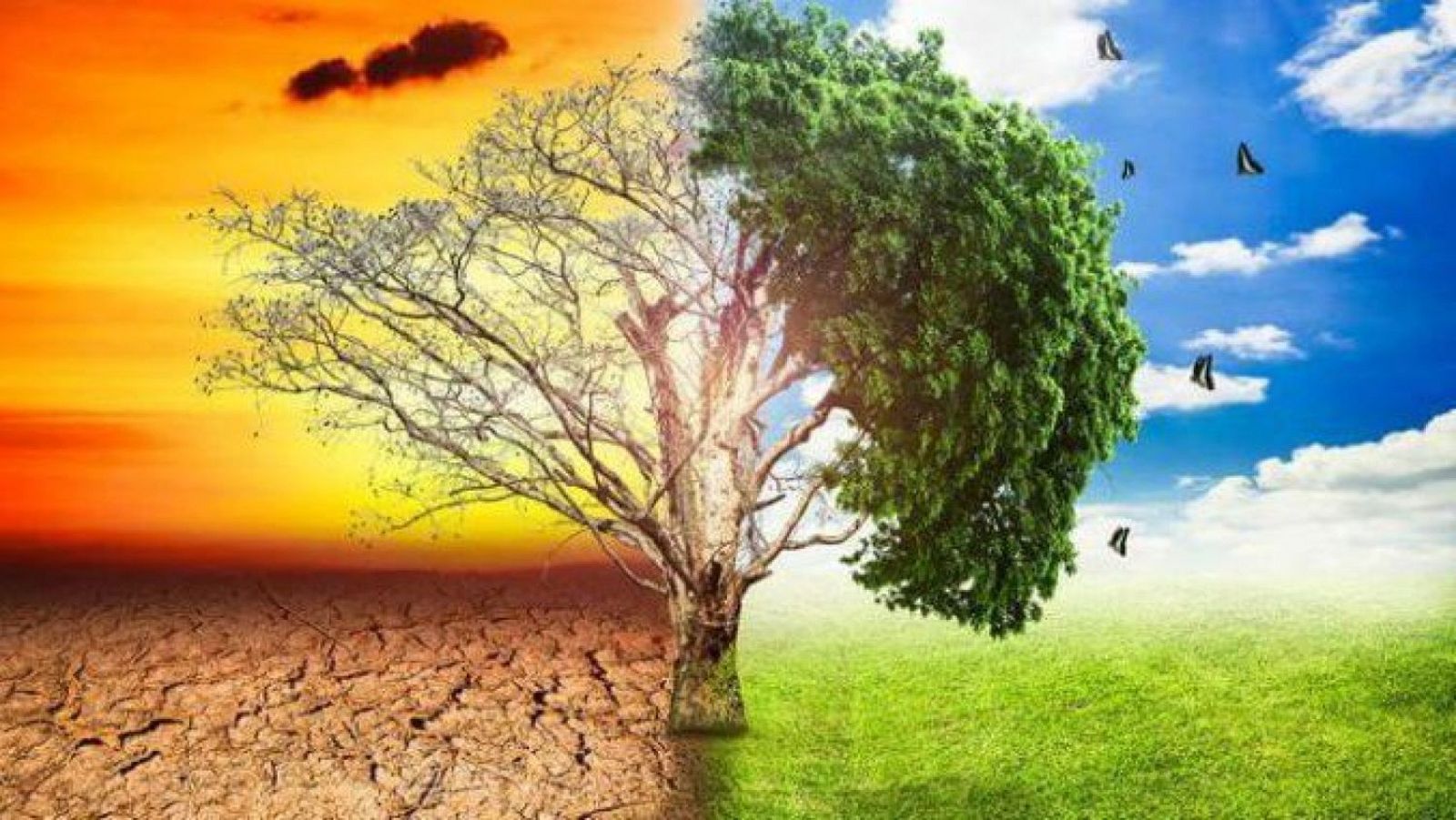 Las mañanas de RNE con Íñigo Alfonso -  2019, año de mayor concienciación social sobre el clima - Escuchar ahora 