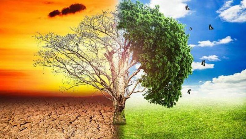 Las mañanas de RNE con Íñigo Alfonso -  2019, año de mayor concienciación social sobre el clima - Escuchar ahora 