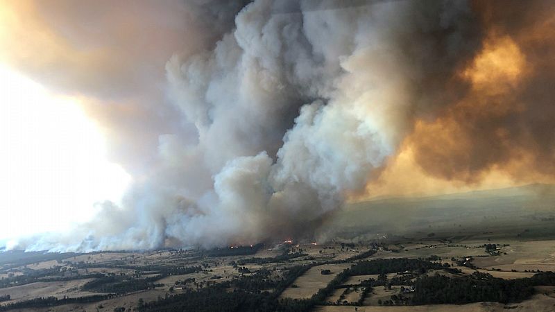 Todo Noticias Mañana - Los incendios en Australia dejan 17 muertos y 100 focos permanecen activos - Escuchar ahora