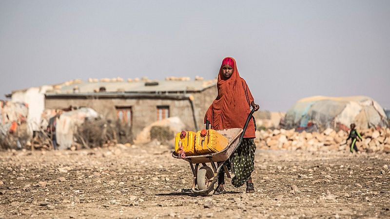 14 horas - Millones de personas en riesgo por la grave sequía en el sur de África - Escuchar ahora