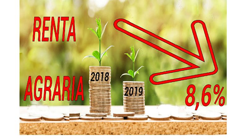 Agro 5 - El nuevo año llega sembrado de retos y nubarrones - Escuchar ahora