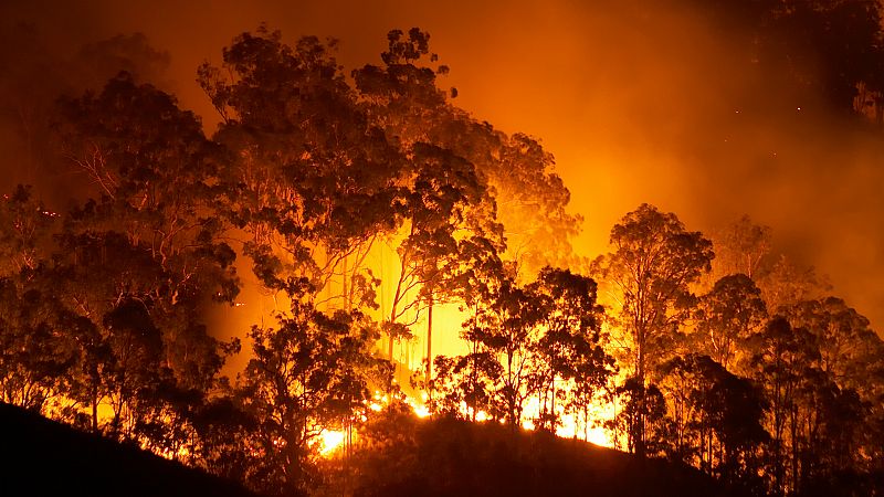  Todo Noticias Tarde - La catátrofe ambiental de Austraia - Escuchar ahora