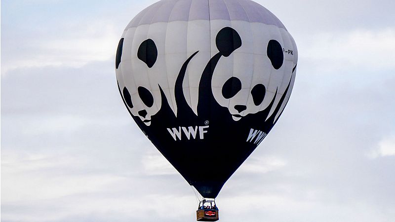 24 horas - Suárez (WWF): "Es una medida que los ecologistas llevamos tiempo reclamando"- Escuchar ahora