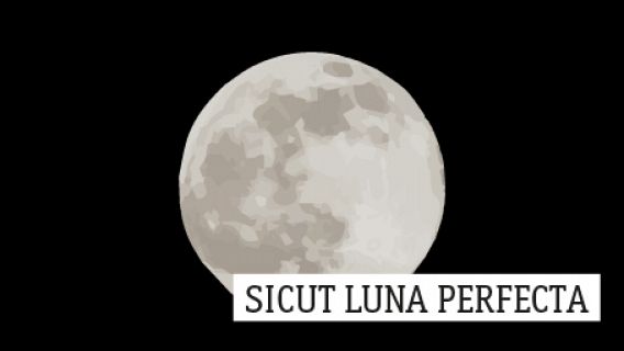 Sicut luna perfecta