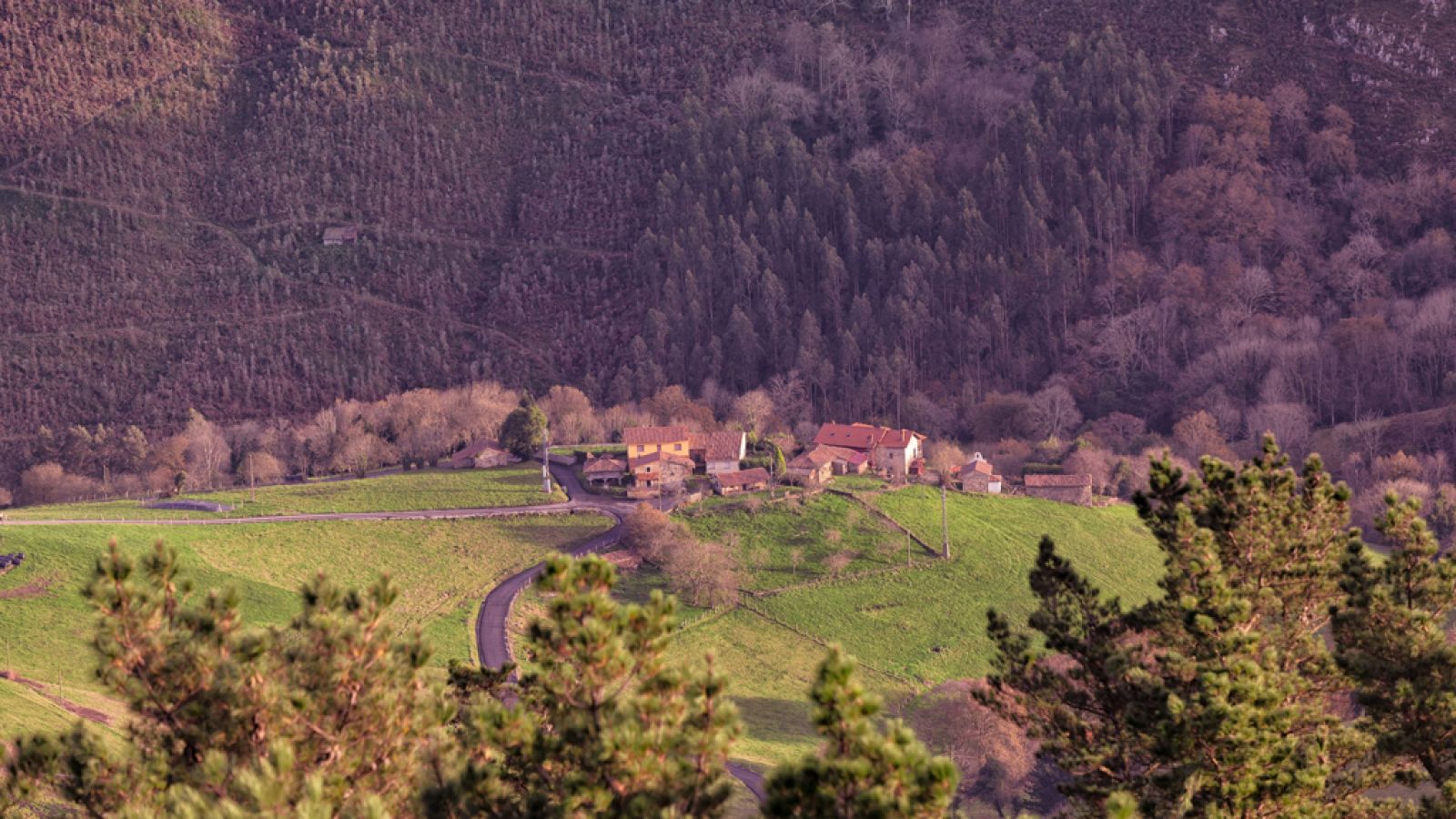 Punto de enlace - El CSIC impulsa una plataforma contra el abandono rural - 13/01/20 - escuchar ahora