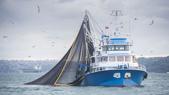 Españoles en la mar