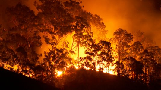 Reserva natural - Reserva natural - Australia en llamas: "El humo ya ha dado una vuelta entera a la Tierra" - 15/01/20 - Escuchar ahora