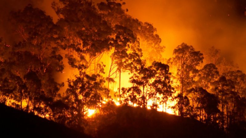 Reserva natural - Australia en llamas: "El humo ya ha dado una vuelta entera a la Tierra" - 15/01/20 - Escuchar ahora