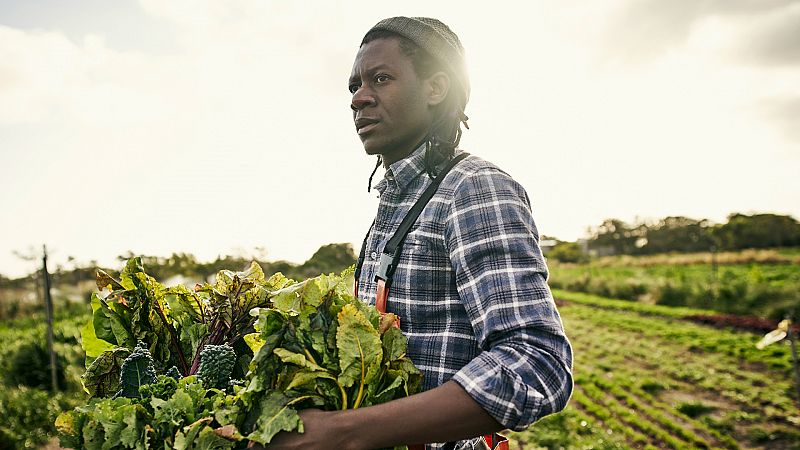 El mundo desde las Casas - Trabajo decente en África - 16/01/20 - Escuchar ahora