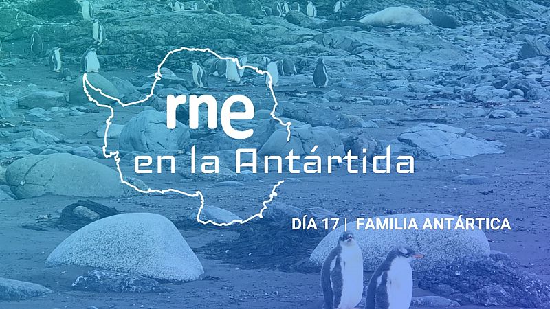 Las mañanas de RNE con Íñigo Alfonso - Día 17 | Familia antártica - Escuchar ahora