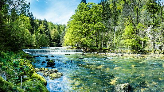 Estamos como queremos - Estamos como queremos - Conectados con la naturaleza - 29/01/20 - Escuchar ahora